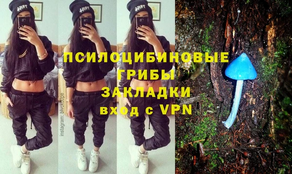 мескалин Богданович