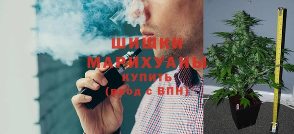 твердый Бородино