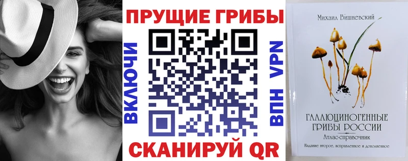 Купить где  Комсомольск  Псилоцибиновые грибы прущие грибы 