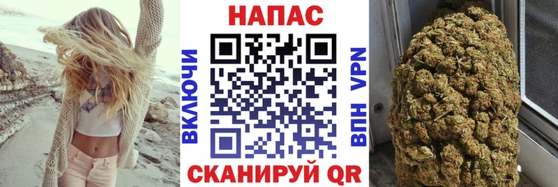 Купить где  Комсомольск  Бошки Шишки OG Kush 